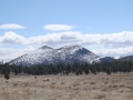 DSC02766