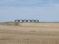 DSC04338