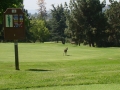 DSC02183