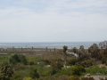 DSC02196