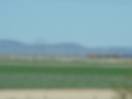 DSC02304
