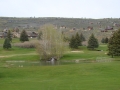 DSC03680