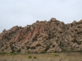 DSC02498