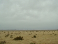 DSC02505