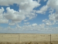 DSC02578
