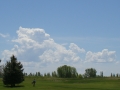 DSC03788