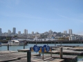 DSC05342