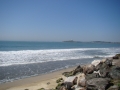 DSC02101
